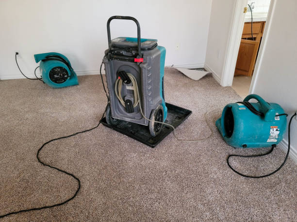 Water damage restoration experts in El Valle De Arroyo Seco, NM