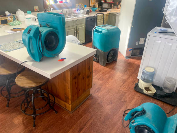 Best Ceiling water damage repair  in El Valle De Arroyo Seco, NM