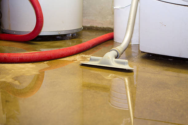 Carpet water damage restoration in El Valle De Arroyo Seco, NM